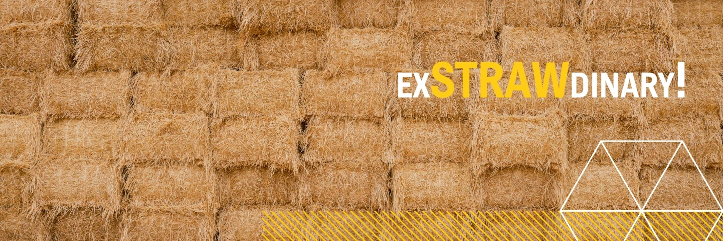 Header exSTRAWdinary