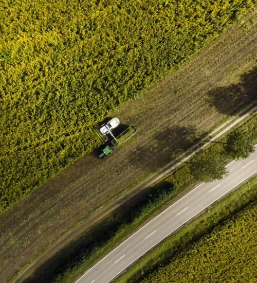 200804_DJI_OutNature_0178_rk
